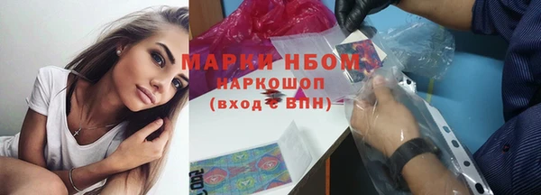 гашик Алексин