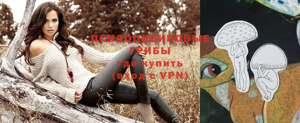 гашик Алексин