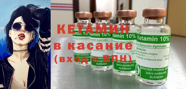 гашик Алексин