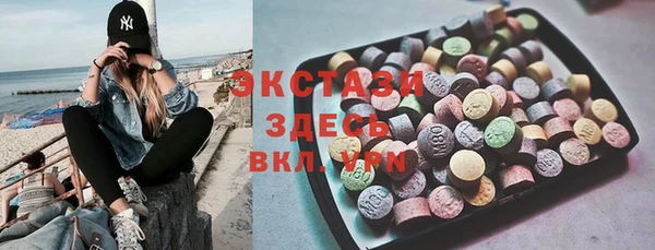 гашик Алексин