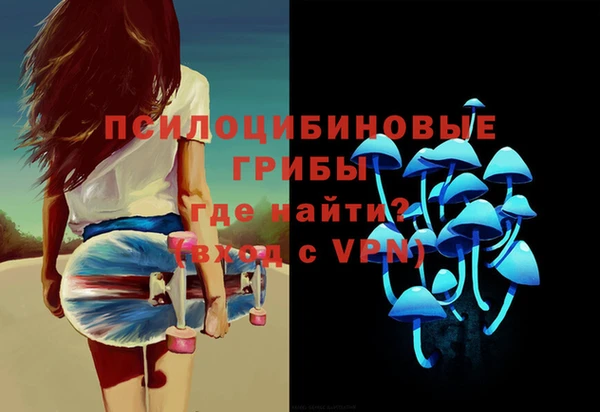 соль курить ск Нязепетровск