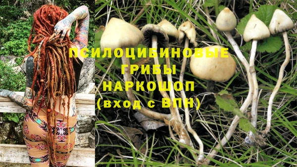 гидропоника Алексеевка