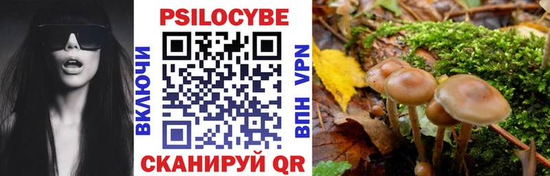 Псилоцибиновые грибы Psilocybine cubensis  купить наркоту  Поронайск 